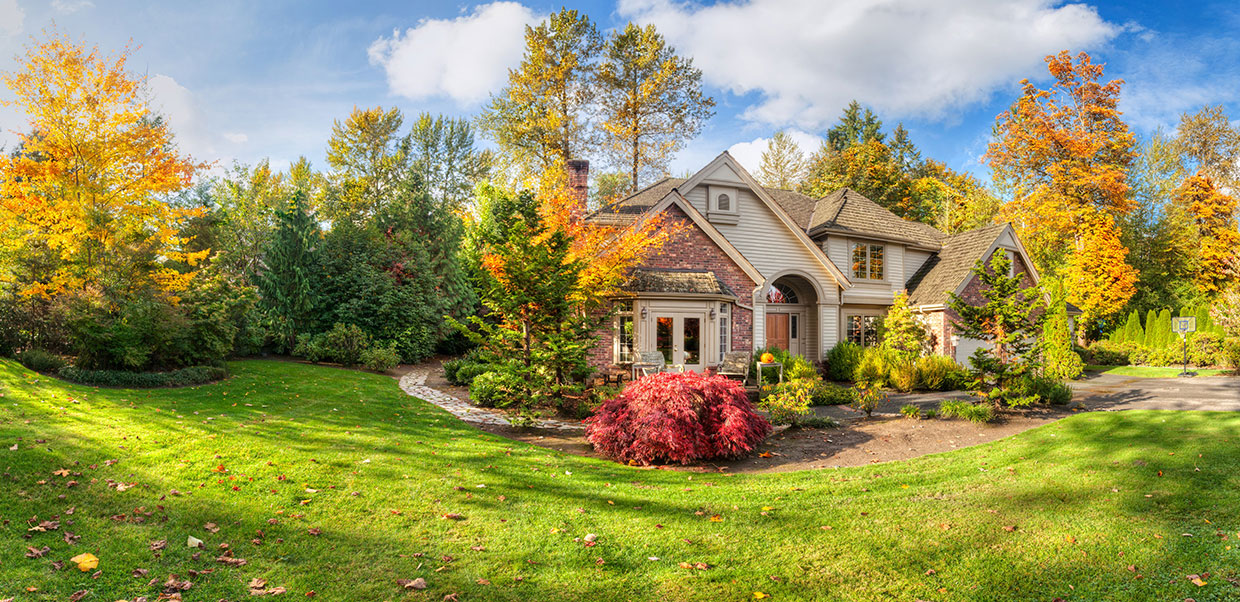 Scalzo Property Management Real Estate Management